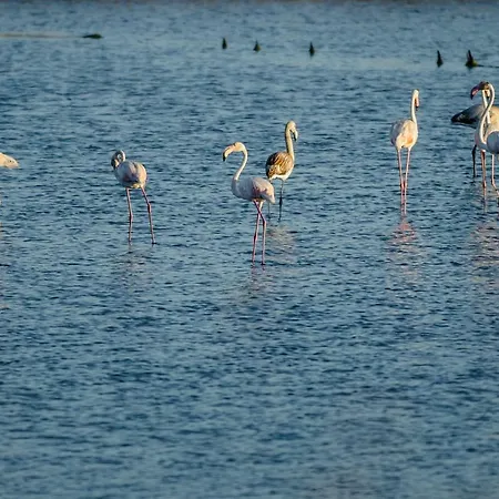 Casino Iii * Figueira da Foz